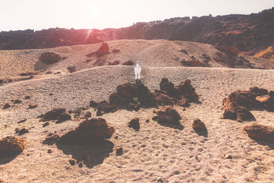 Scenic view of rocks on beach against sky