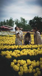 People standing by yellow flowers on field