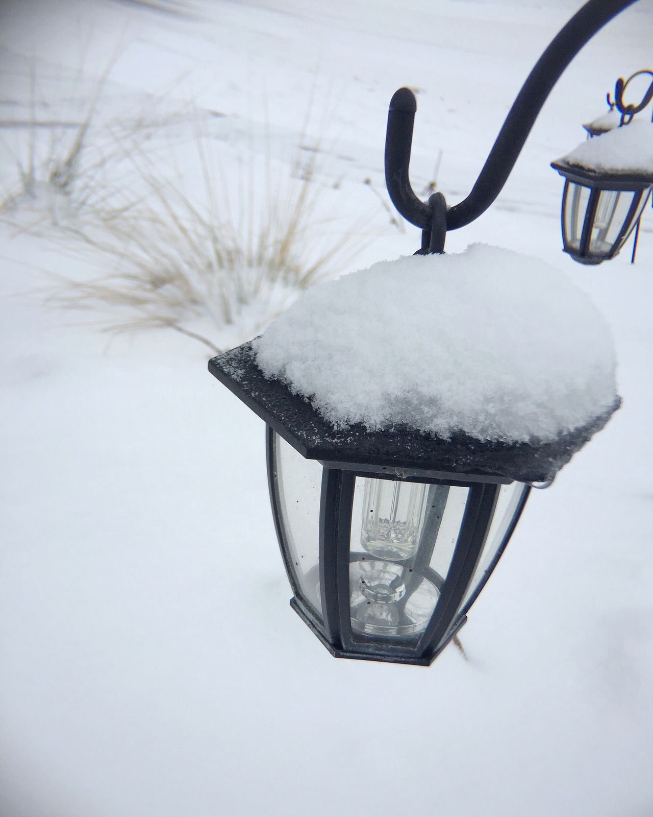 Snow covered lights