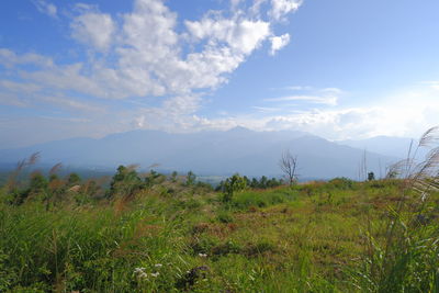 Scenic view of field against sky