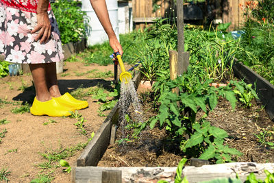 Low section of woman standing by plants