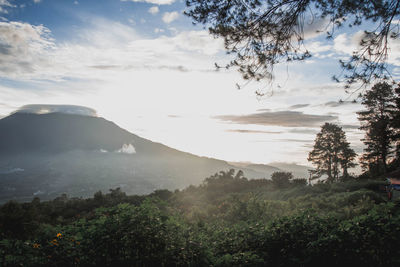 Scenic view of landscape against sky