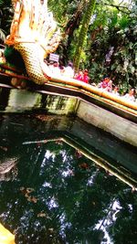 Reflection of trees on water