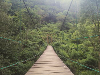 Footbridge amidst trees in forest