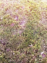 Full frame shot of abstract background