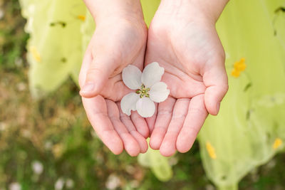 hand