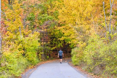 Rear view of man walking on road amidst plants during autumn