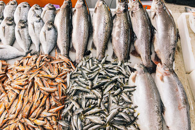 Close-up of seafood for sale at market stall