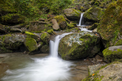 Scenic view of waterfall in forest