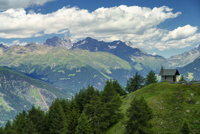 Scenic view of trees and houses against sky