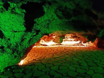 Close-up of illuminated at night