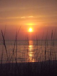 Scenic view of sea at sunset