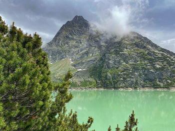 Gelmersee in green