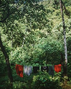 Clothes drying on clothesline