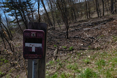 Information sign on field by trees in forest
