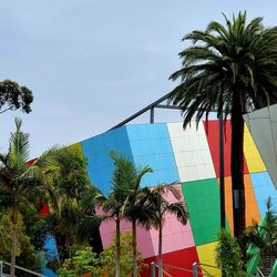 Low angle view of coconut palm trees against blue sky