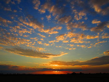 Low angle view of silhouette trees against sky during sunset