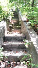 Staircase in old building