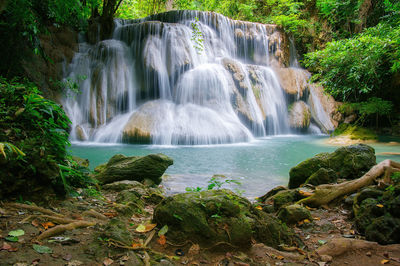 Scenic view of waterfall in forest