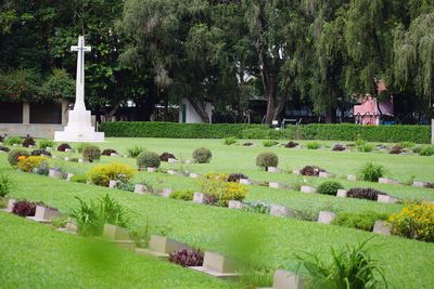 View of cemetery against trees