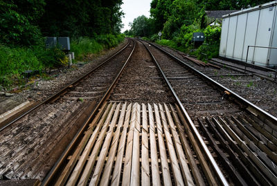 Railroad tracks along trees