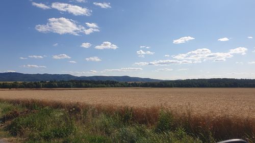 Scenic view of field against sky