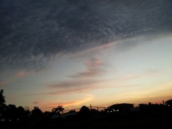 Silhouette of trees at sunset