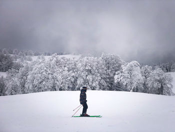 Skier on the slope with view of forest covered in snow on a foggy winter day