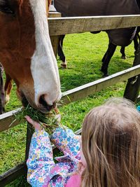 Girl feeding horse in ranch