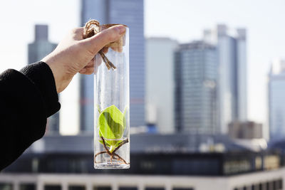 Germany, frankfurt, hand holding plant in a jar in front of financial district