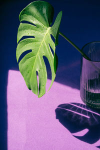 Close-up of drink on table