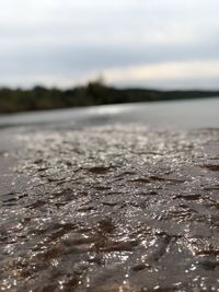 Surface level of lake against sky