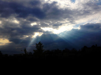 Silhouette of trees against dramatic sky