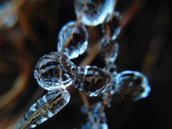 Close-up of water drop