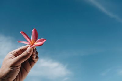 Close-up of hand holding red flower against blue sky