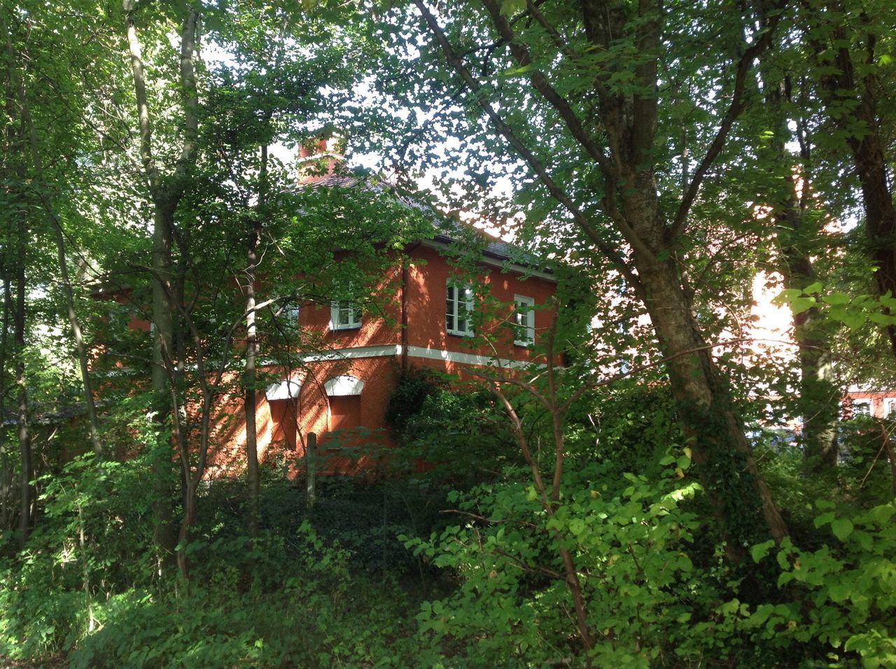 TREES WITH HOUSES IN BACKGROUND