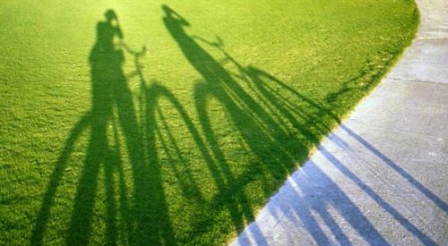 Shadow of tree on ground