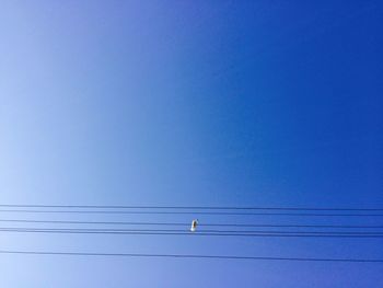 Low angle view of power lines against blue sky