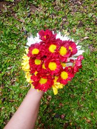 Close-up of hand holding flower