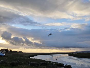 Birds flying over calm sea at sunset