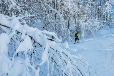 Man skiing on snow covered tree