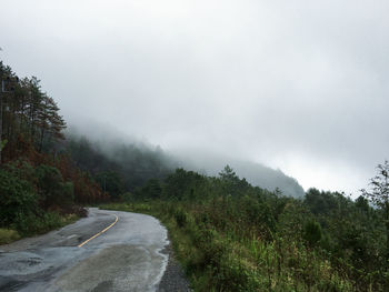 Road amidst trees against sky