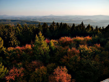 High angle view of trees against sky during sunset