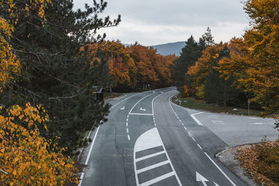 High angle view of empty road through forest in autumn.