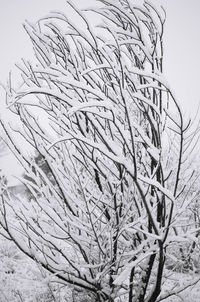 Close-up of snow on field against sky