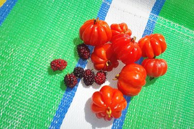 High angle view of tomatoes