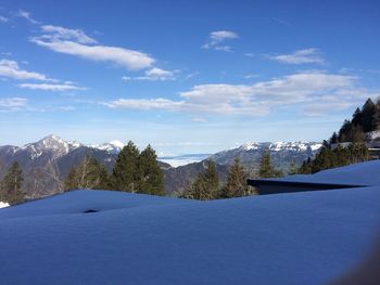 Pine trees on snowcapped mountain against sky