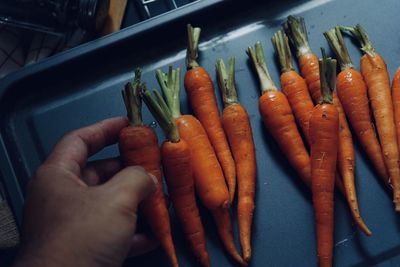 High angle view of hand holding vegetables