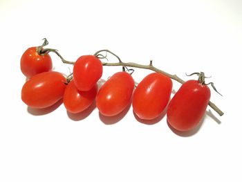 Close-up of tomatoes against white background