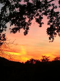 Silhouette trees against sky during sunset